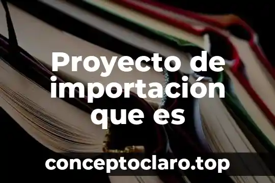 Proyecto de importación que es