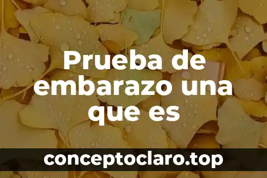 Prueba de embarazo una que es