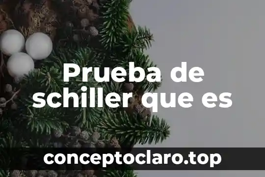 Prueba de schiller que es