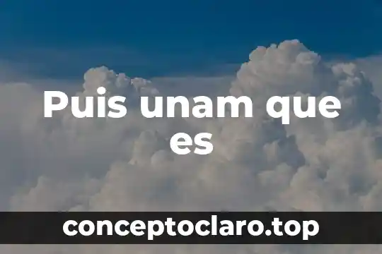 Puis unam que es