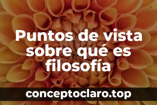 Puntos de vista sobre qué es filosofía