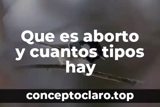 Qué es innovación y cuántos tipos de INPs existen 7 Que es aborto y cuantos tipos hay