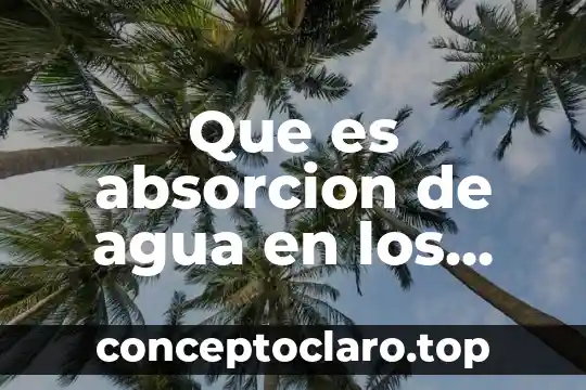 Que es matriz de perfil competitivo definición con autores 4 Que es absorcion de agua en los suelos agricolas autores