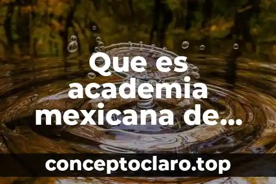 Que es acción real academia española 5 Que es academia mexicana de ciencias