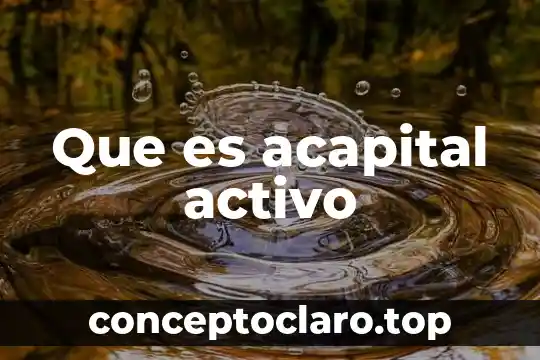 Qué es la extracción del principio activo 8 Que es acapital activo