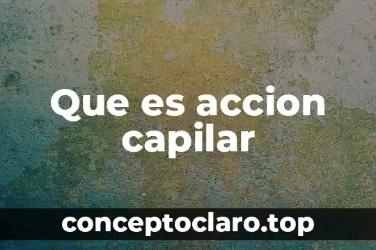 Que es accion capilar