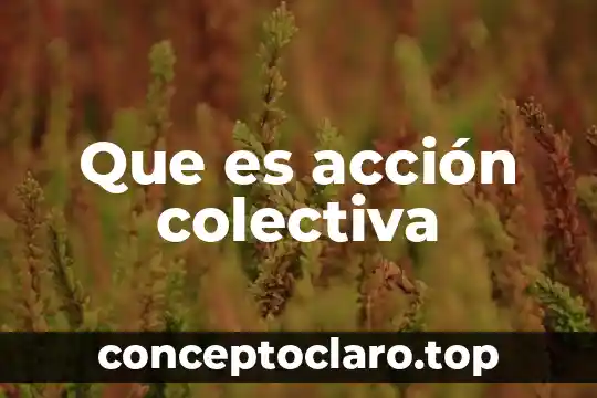 Qué es un antitusivo de acción central 4 Que es acción colectiva