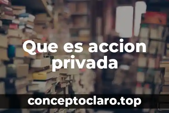 Que es contabilidad publica y privada 4 Que es accion privada