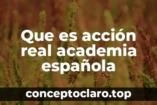 Que es una red social real academia española 8 Que es acción real academia española