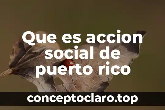 Que es un texto dra 8 Que es accion social de puerto rico