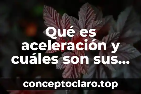 Qué es un color cálido y cuáles son 7 Qué es aceleración y cuáles son sus unidades de medida