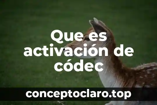 Que es activación de códec