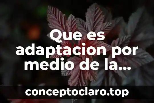 Que es un medio de comunicacion de red 3 Que es adaptacion por medio de la nutricion
