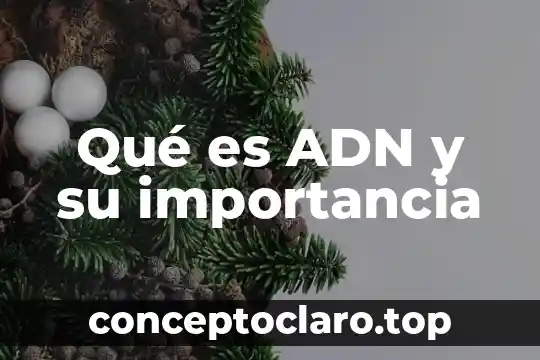 Qué es ADN y su importancia