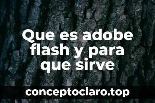 Que es adobe flash y para que sirve