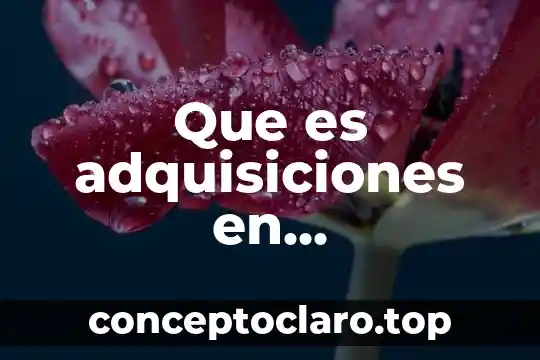 Que es adquisiciones en administracion