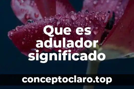 Que es sinalefa significado 5 Que es adulador significado