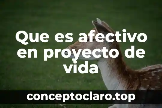Que es afectivo en proyecto de vida