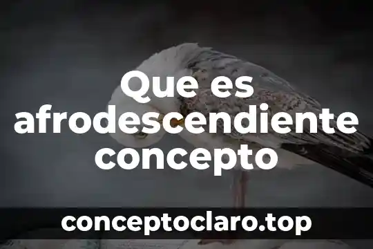 Que es afrodescendiente concepto