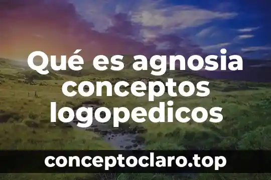 Qué es plástico significado y conceptos 6 Qué es agnosia conceptos logopedicos