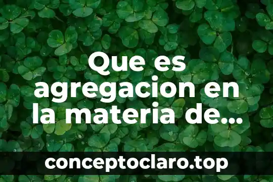 Que es agregacion en la materia de inteligencia emocional