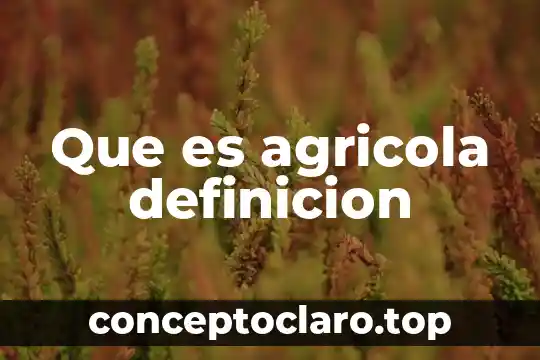 Qué es bon voyage definición 5 Que es agricola definicion