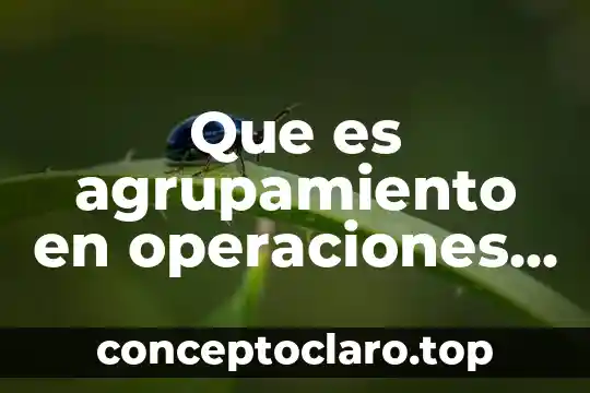 Administracion de operaciones que es homeostasis y sinergia 5 Que es agrupamiento en operaciones administrativas