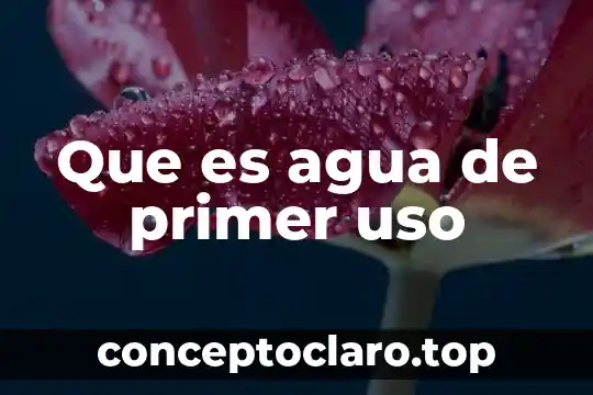 Que es agua de primer uso