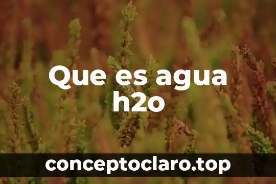 Que es agua h2o