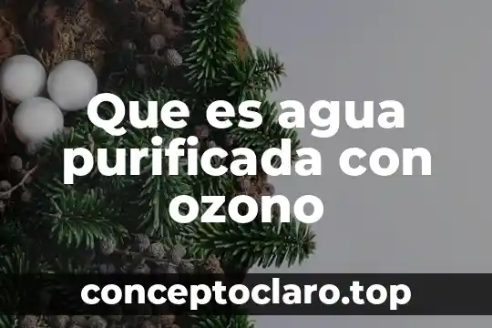 Que es agua purificada con ozono