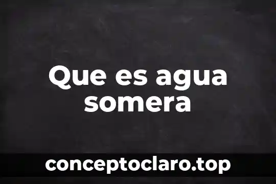 Válvula de agua que es 8 Que es agua somera
