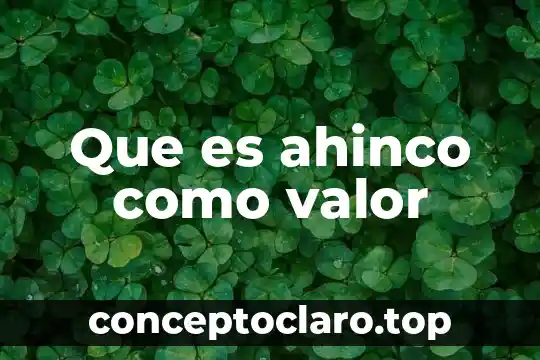 Que es ahinco como valor