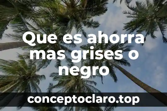 Que es mas importante el significado o el significante 4 Que es ahorra mas grises o negro