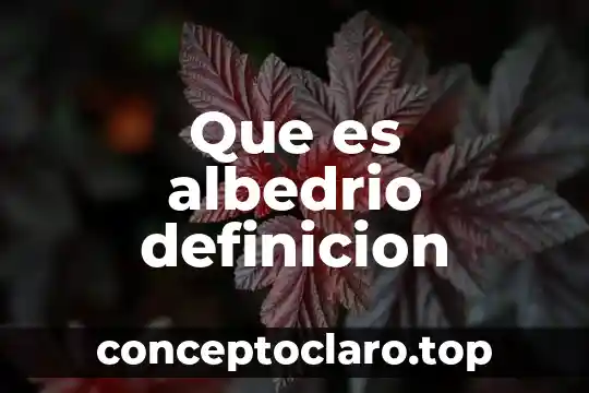 Qué es bon voyage definición 7 Que es albedrio definicion