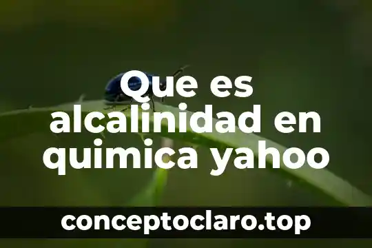Que es una reaccion quimica y sus tipos de reacciones 3 Que es alcalinidad en quimica yahoo