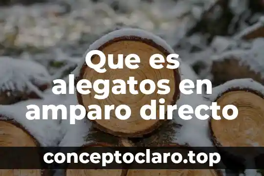 Qué es derecho amparo 8 Que es alegatos en amparo directo