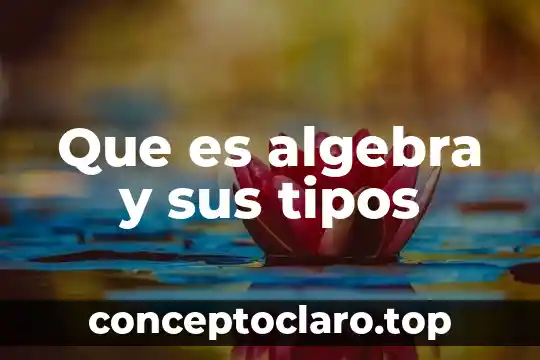Que es algebra y sus tipos