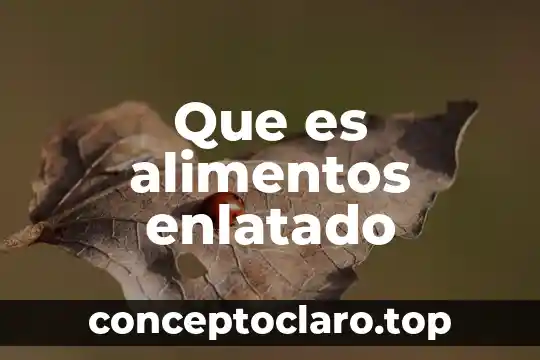 Que es alimentos enlatado