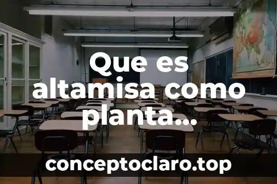Qué es un nódulo en la planta 5 Que es altamisa como planta medicinal