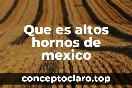 Qué es austeridad en México 5 Que es altos hornos de mexico