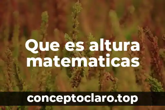 Que es altura matematicas