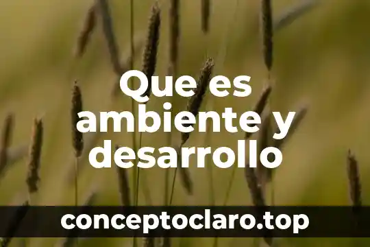 Que es ambiente y desarrollo
