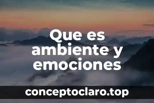 Qué es un ambiente público 3 Que es ambiente y emociones