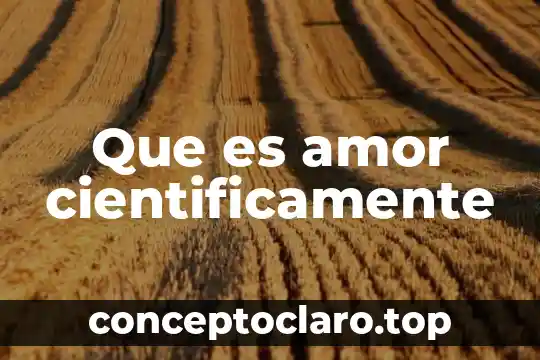Que es amor cientificamente