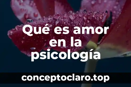 Qué es amor en la psicología