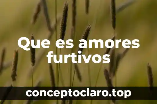 Que es amores furtivos