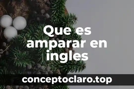 Que es ser de pumas 6 Que es amparar en ingles