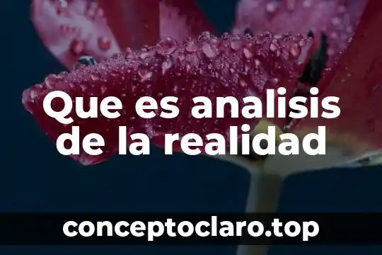 Que es analisis de la realidad