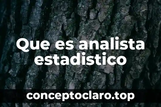 Que es analista estadistico