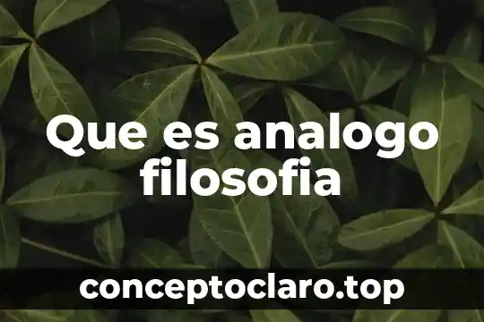 Que es analogo filosofia